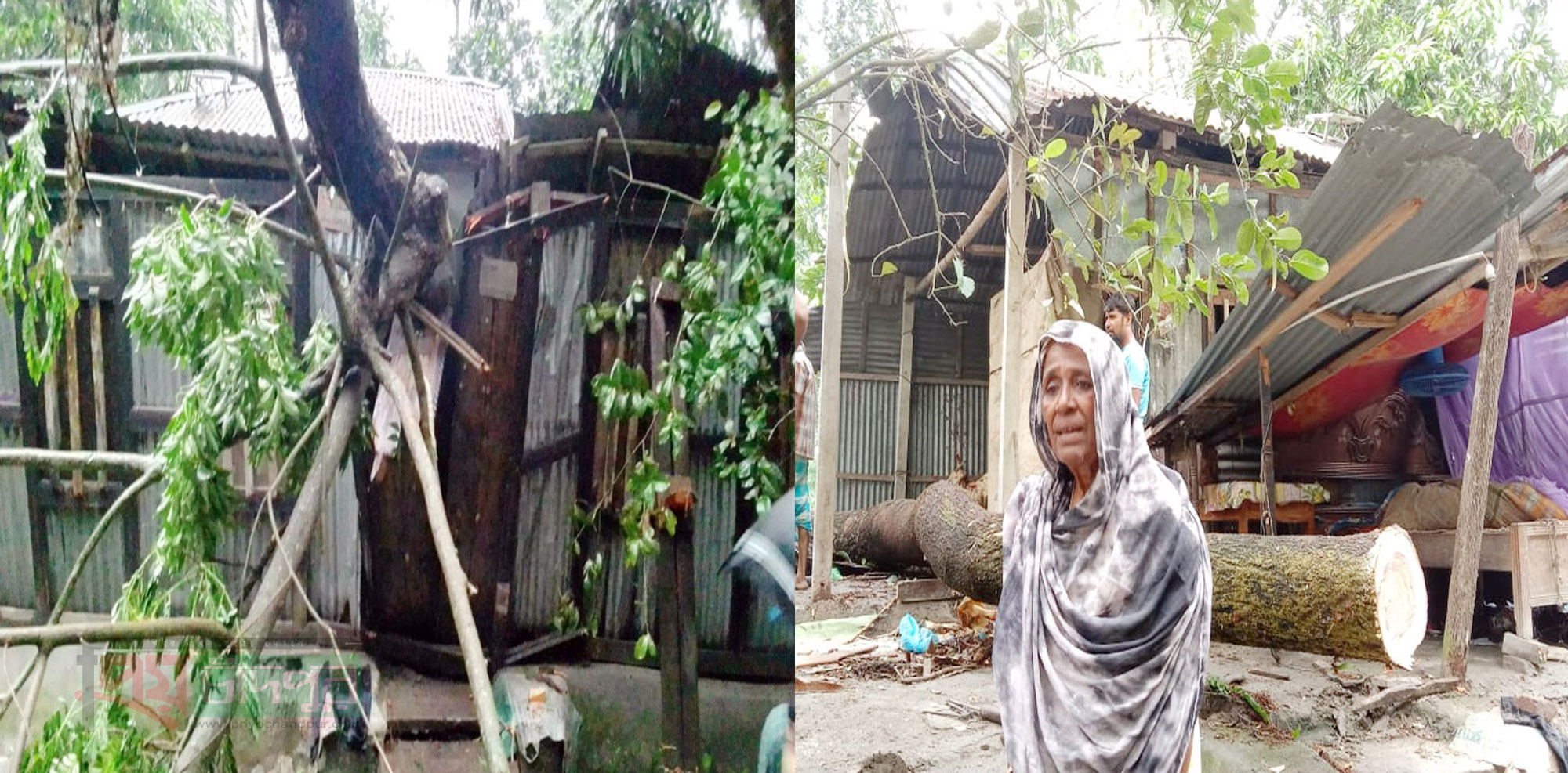 মতলব উত্তরে কালবৈশাখী ঝড়ে লণ্ডভণ্ড বসতবাড়ি