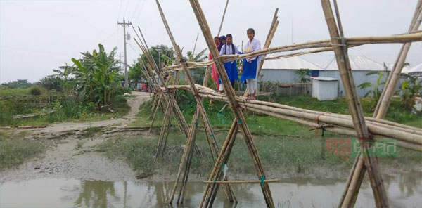 হাইমচর চেয়ারম্যান বাজার ঝুঁকিপূর্ণ বাঁশের সাঁকোই ভরসা শিক্ষার্থীদের