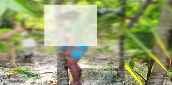 হাইমচরে ফ্রি ফায়ারে আসক্ত কিশোরের আত্মহত্যা