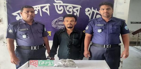 মতলব উত্তরে গাঁজা’সহ গ্রেপ্তার ১
