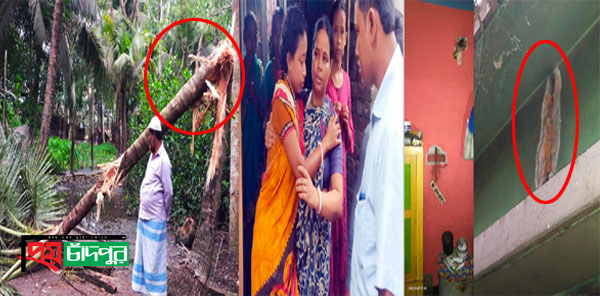 ফরিদগঞ্জে বজ্রপাতে দুই গৃহবধূ আহত