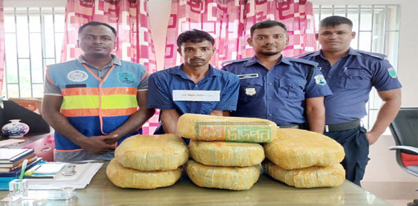 মতলব উত্তরে গাঁজাসহ মাদক বিক্রেতা আটক
