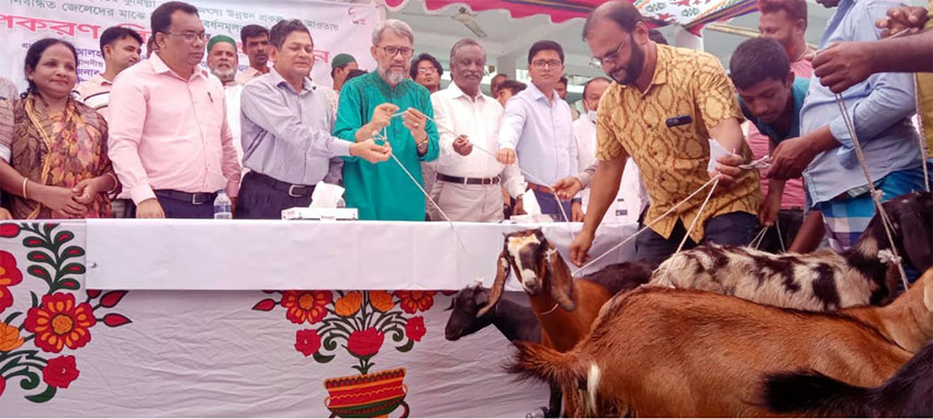 মতলব উত্তরে নিবন্ধিত জেলেদের বিকল্প কর্মসংস্থানের লক্ষ্যে ছাগল ও বৈধ জাল বিতরণ