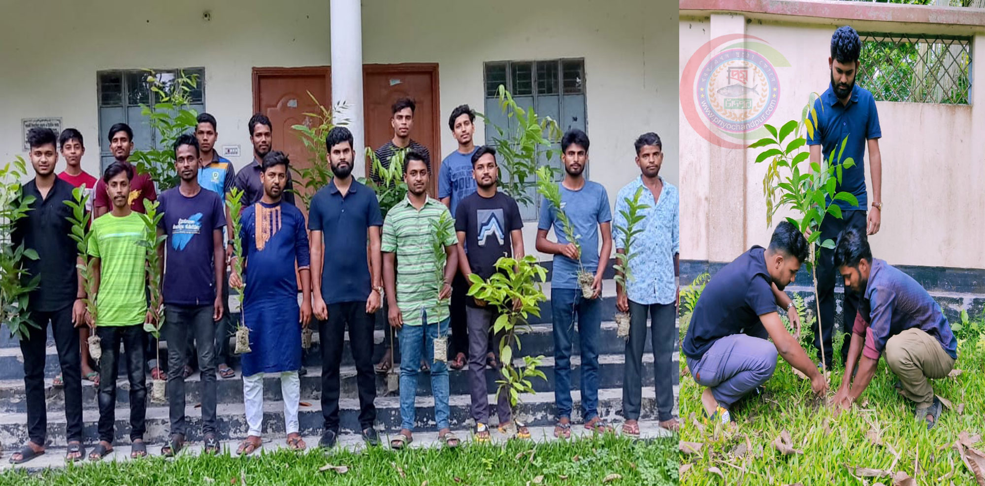 মতলব উত্তরে ছাত্রলীগ নেতা সাইফুল সরকারের নেতৃত্বে বৃক্ষরোপন কর্মসূচি