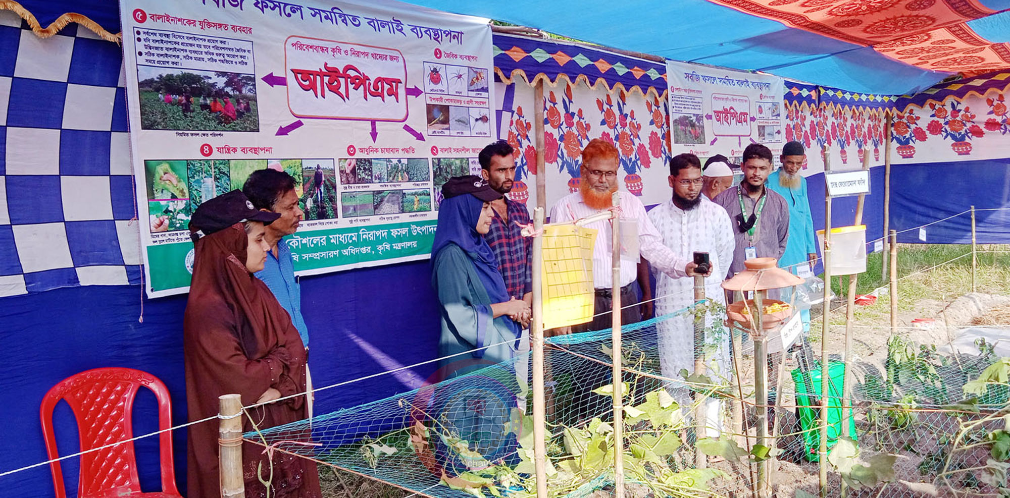 মতলব উত্তরে নিরাপদ ফসল উৎপাদন প্রকল্পের এফএফএস মাঠ দিবস