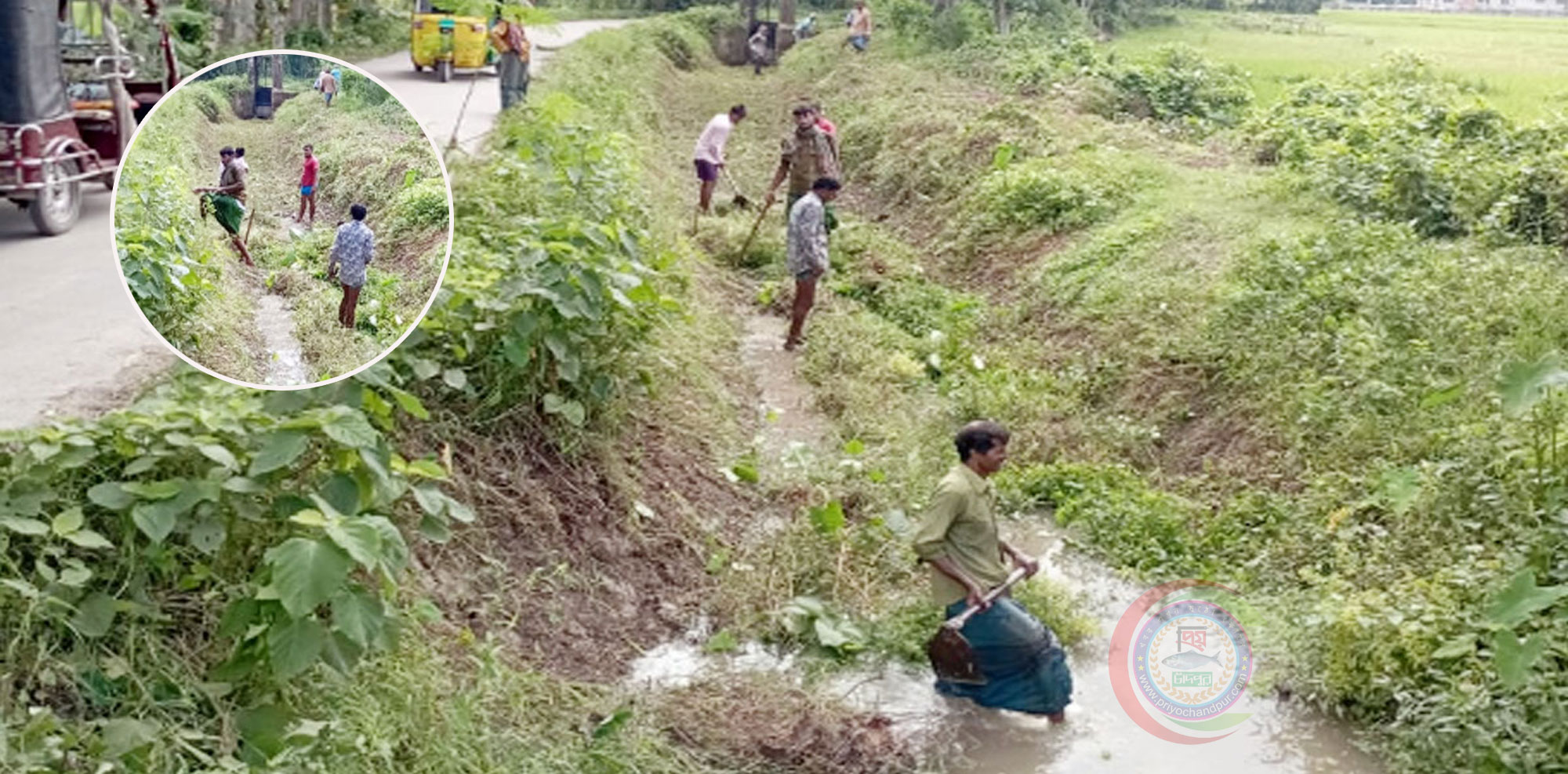 মতলব উত্তরে স্বেচ্ছাশ্রমে সেচ নালা পরিষ্কার