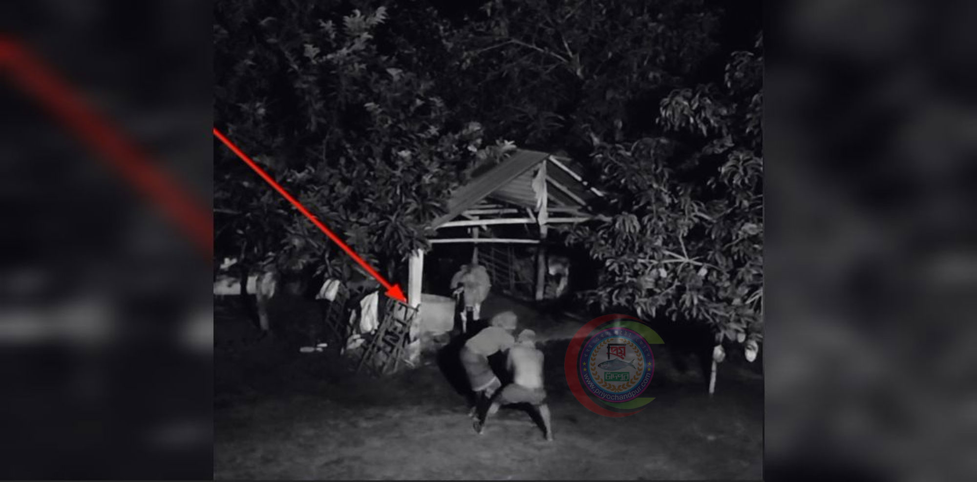 চাঁদপুরে গরু চোরের উপদ্রব বৃদ্ধি, আতংকে খামারিরা