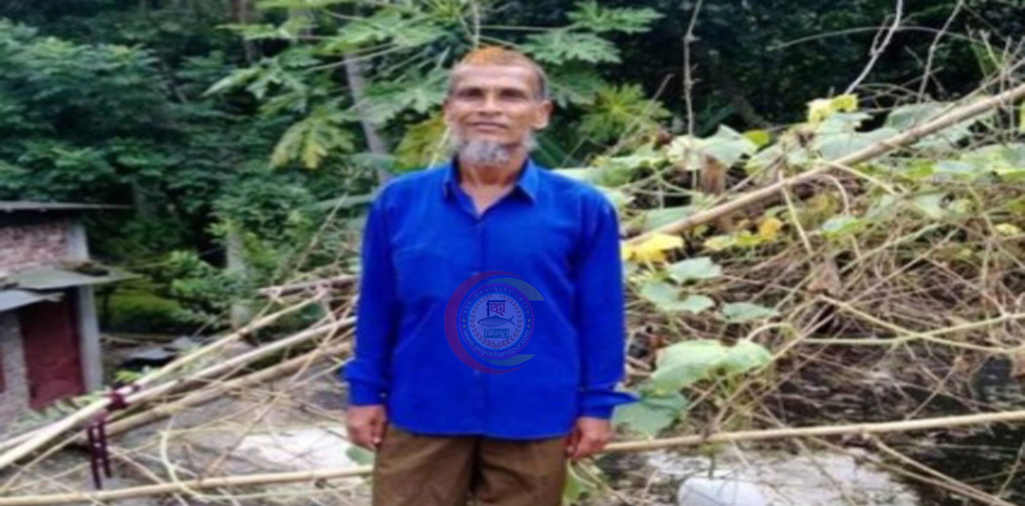 শাহরাস্তিতে সাপের কামড়ে দিনমজুরের মৃত্যু
