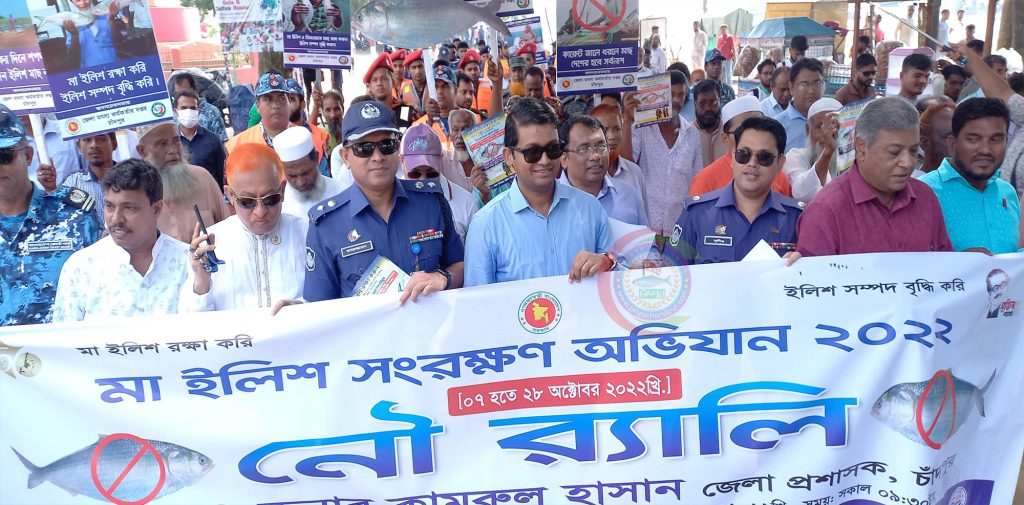 চাঁদপুরে শুরু হয়েছে মা ইলিশ রক্ষা অভিযান
