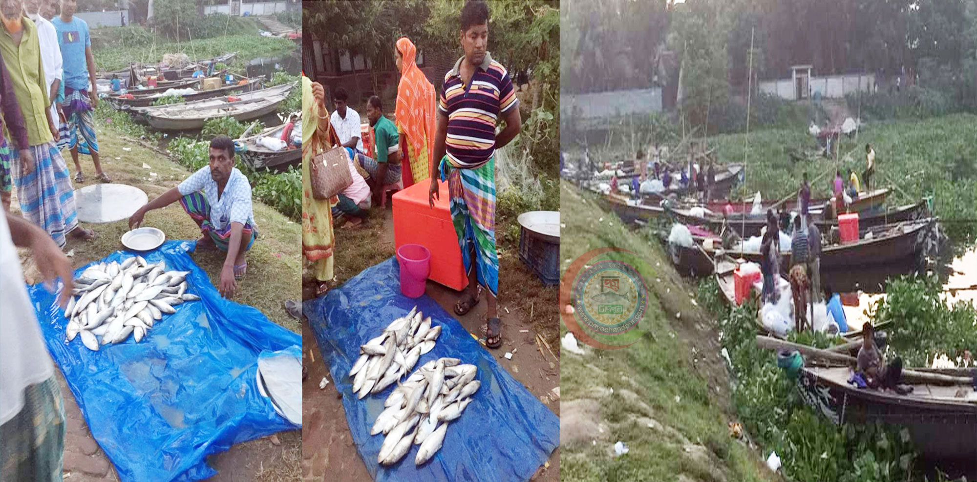 নিষেধাজ্ঞায় মেঘনার তীরে ইলিশের হাট
