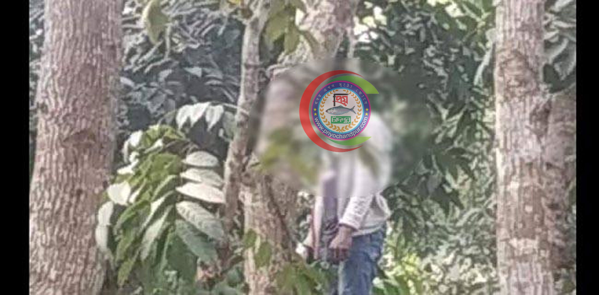 আমড়াগাছে নববিবাহিত যুবকের ঝুলন্ত লাশ