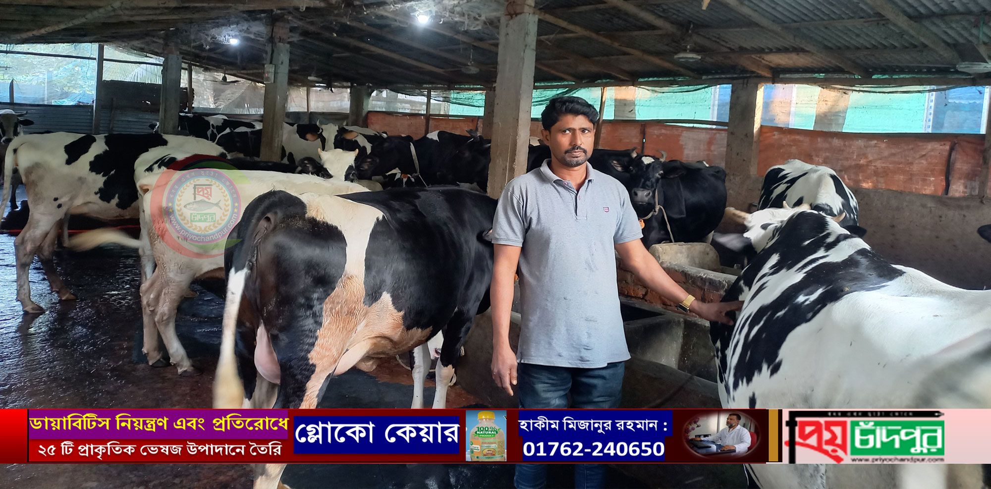 একটি দিয়ে শুরু করে ৩০টি গরুর মালিক আব্দুল মমিন