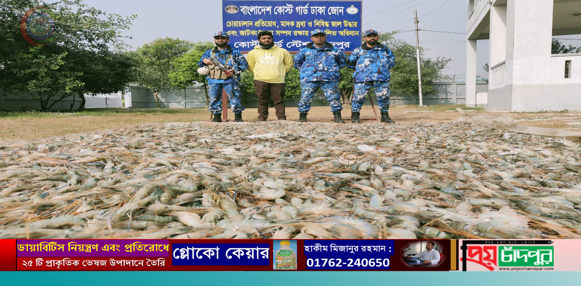 চাঁদপুরে কোস্ট গার্ডের অভিযানে ১০২০ কেজি জেলি পুশকৃত চিংড়ী জব্দ