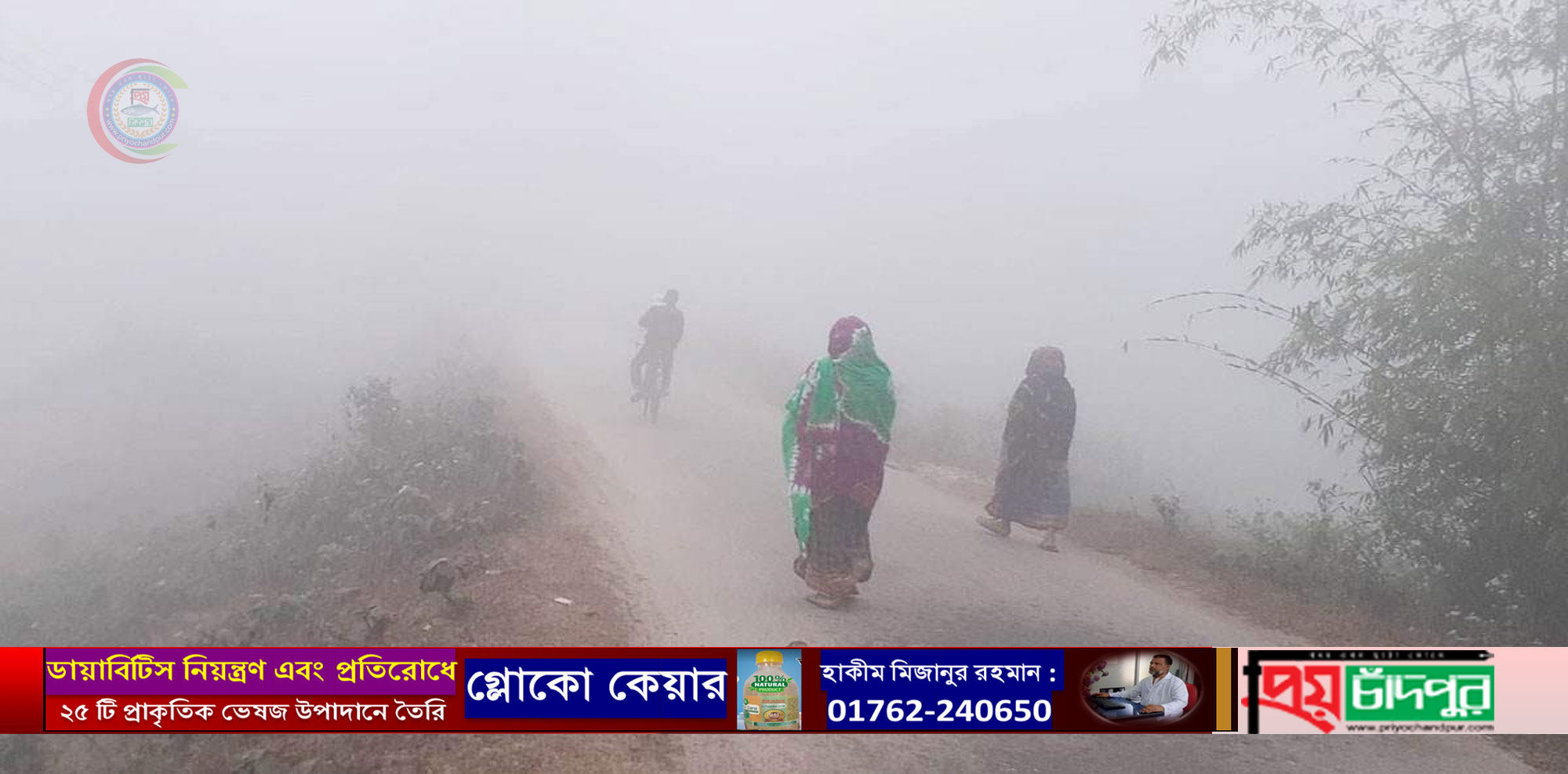 কুয়াশাচ্ছন্ন হাইমচর শীতে কাঁপছে মানুষ