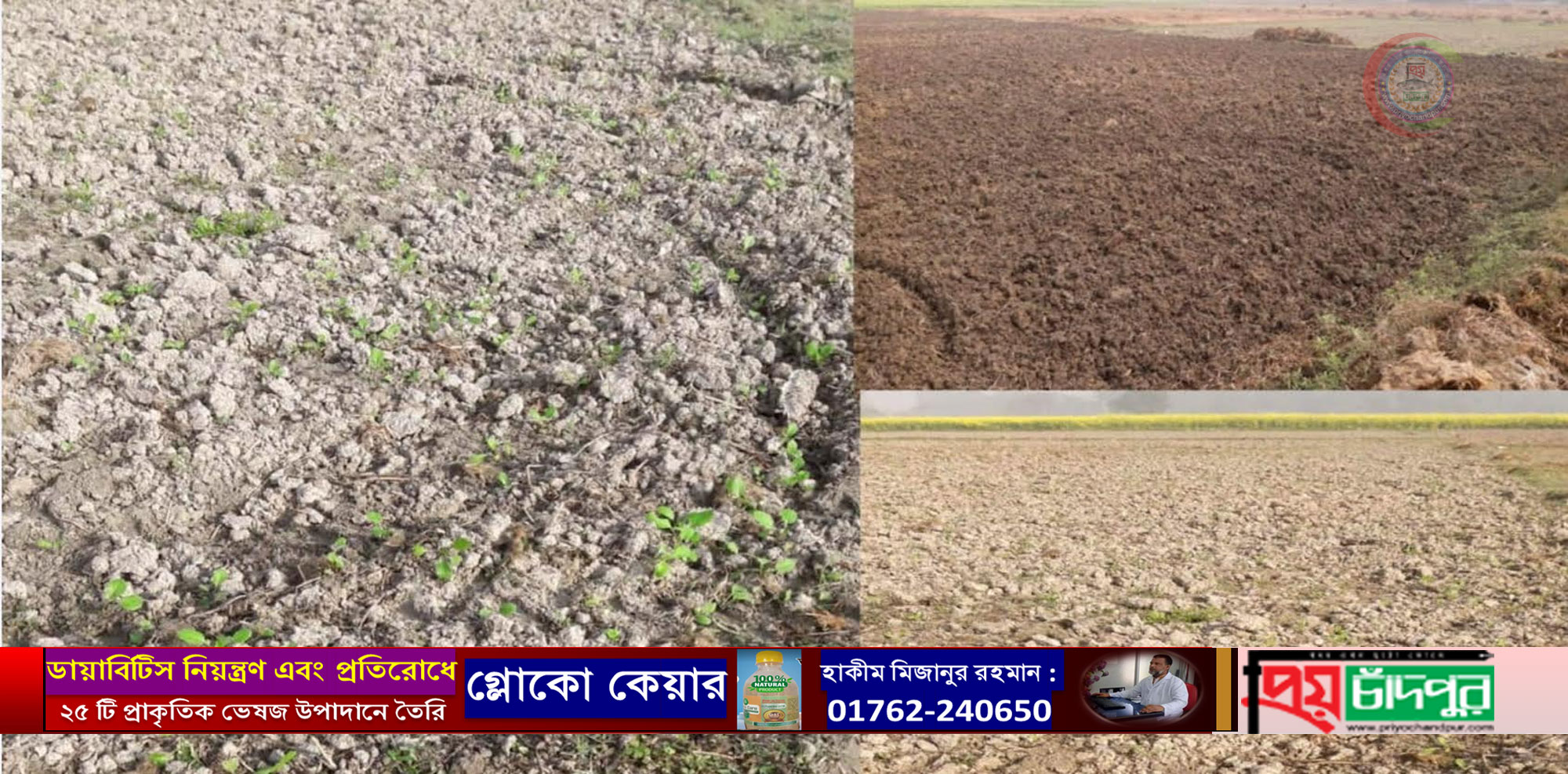 মতলব উত্তরে আদালতের নিষেধাজ্ঞা অমান্য করে জমি দখলের অভিযোগ