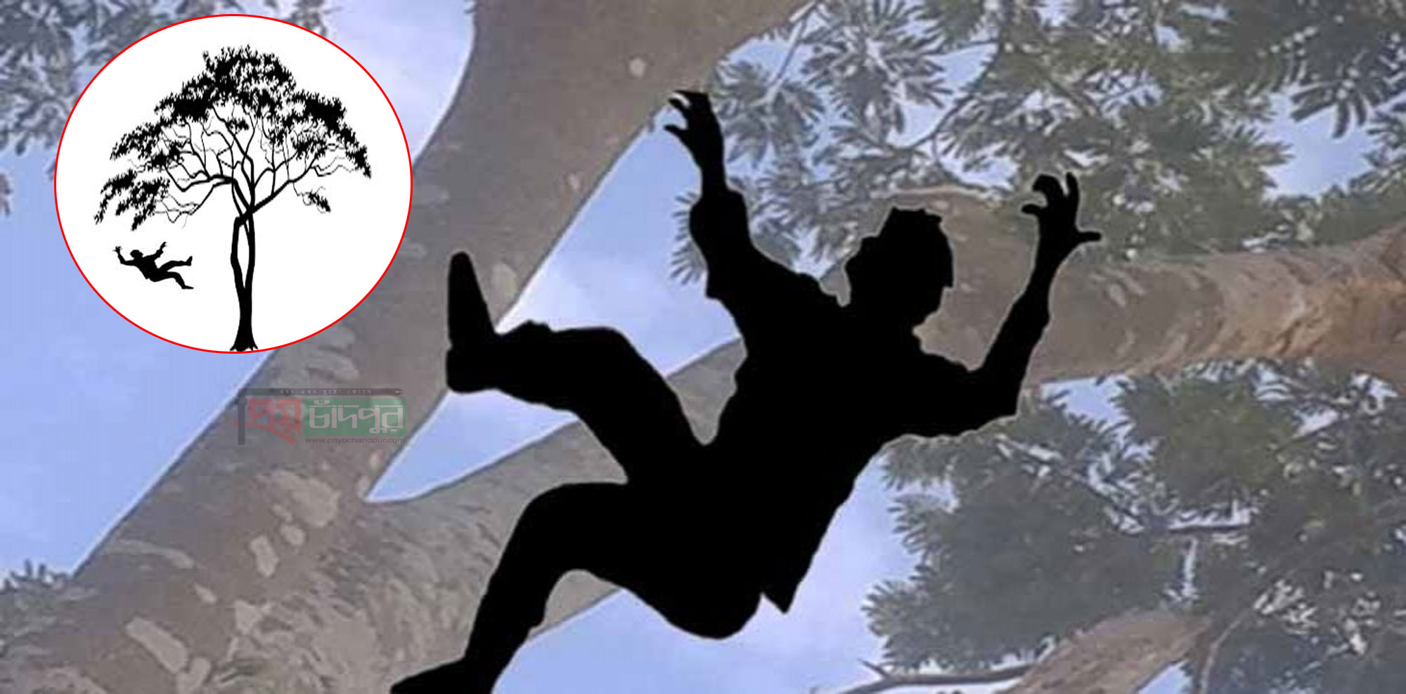 ফরিদগঞ্জে গাছ থেকে পড়ে দুই সন্তানের জনকের মৃত্যু