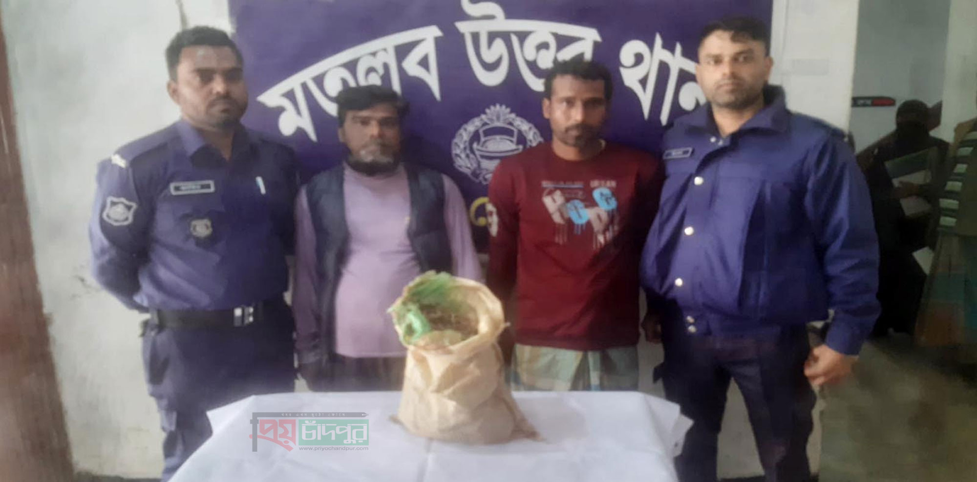 মতলব উত্তরে দেড় কেজি গাঁজা’সহ ২ কারবারি গ্রেপ্তার