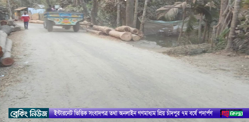 হাইমচরে অবৈধ ট্রাক্টর-ট্রলির মাটি পড়ে পাকা সড়কে বালুর ধুলায় পথ চলা দায়