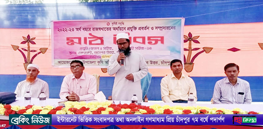 মতলব উত্তরে বারি সরিষা-১৪ জাতের মাঠ দিবস