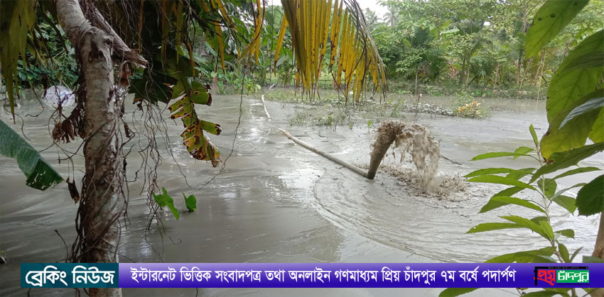 ফরিদগঞ্জের ইউএনও’র কাছে অভিযোগের পরেও বন্ধ হচ্ছেনা অবৈধ ড্রেজার!