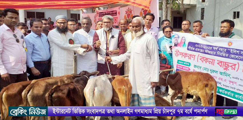 মতলব উত্তরে নিবন্ধিত জেলেদের মাঝে বাছুর বিতরণ