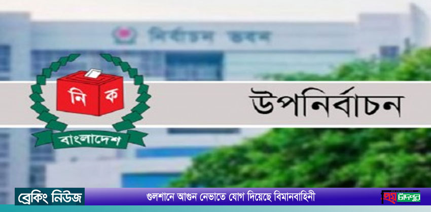 ‘আনারস’ নিয়ে কাড়াকাড়ি