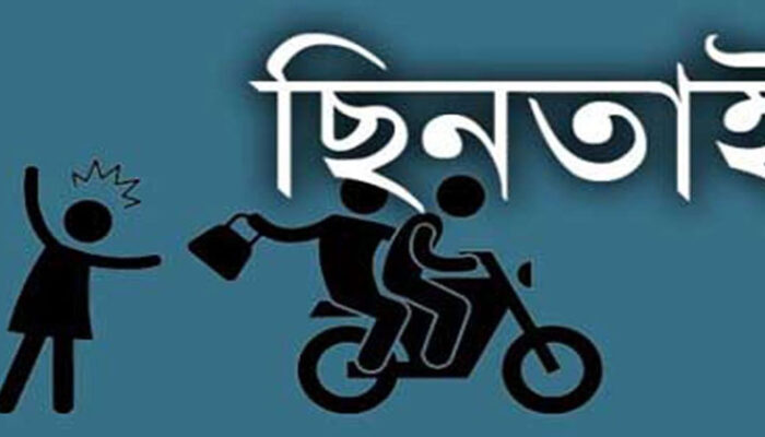 দৈনিক চাঁদপুর দিগন্ত পত্রিকার শাহরাস্তি প্রতিনিধি ছিনতাইকারীর খপ্পরে, থানায় অভিযোগ