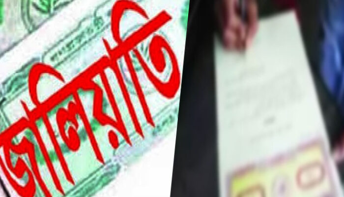 কচুয়ায় জালিয়াতির মাধ্যমে ফ্রান্স প্রবাসীর সম্পত্তি আত্মসাতের পাঁয়তারা