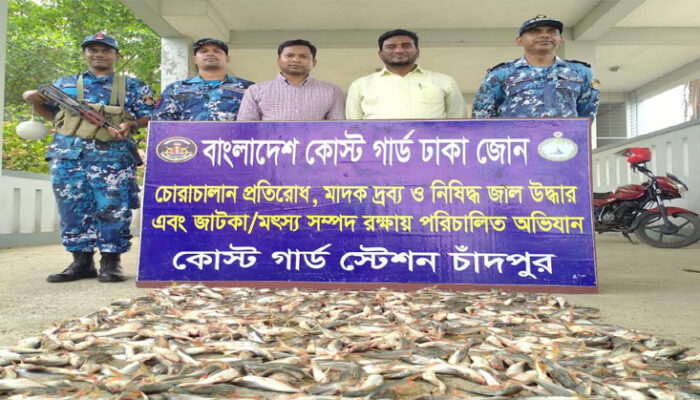 চাঁদপুরে ২ হাজার ৫০ কেজি পাঙ্গাশের পোনা ও অবৈধ চাই জব্দ