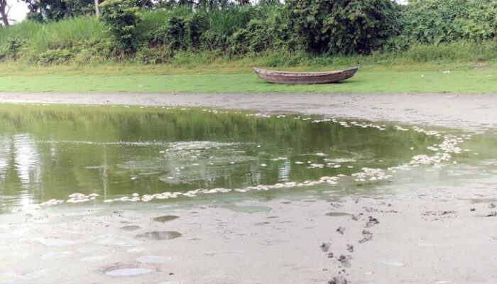 সুগন্ধি-সটাকী বরোপীটে বিষ দিয়ে মাছ নিধন