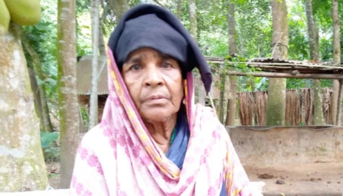 ‘গত কোরবানে এট্টু গরুর গোশত খাইছি, আর চোখি দেহিনি’