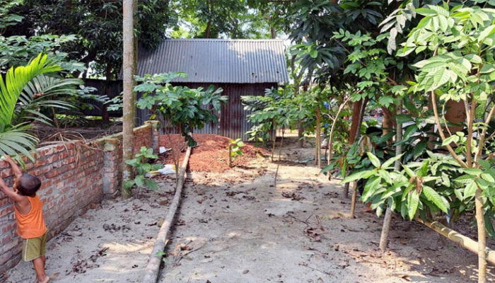 মতলব উত্তরে চলাচলের পথ অবরুদ্ধ করে চাচাতো ভাইকে হত্যার হুমকি