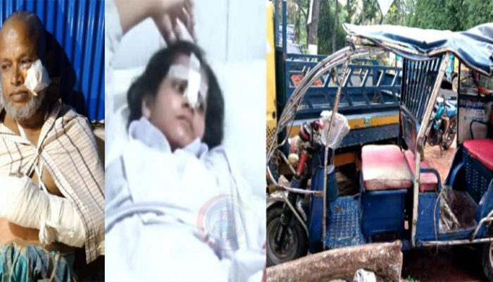 চাঁদপুরের মহামায়ায় পিকআপ ও অটোরিকশার সংঘর্ষে আহত-৩