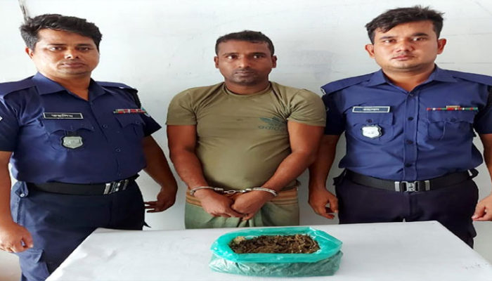 মতলব উত্তরে আধা কেজি গাঁজাসহ মাদক কারবারি গ্রেপ্তার