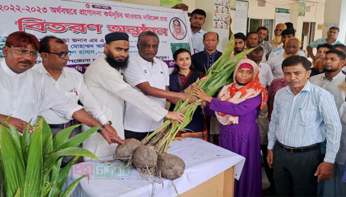 মতলব উত্তরে ৬৫০ কৃষককের মাঝে নারিকেল চারা প্রদান