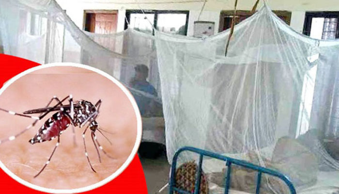মতলব দক্ষিণে ডেঙ্গু জ্বরে ১৪ জন আক্রান্ত 