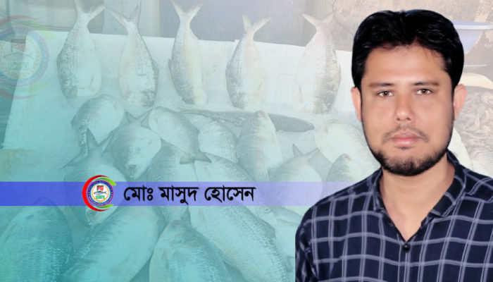 সোনার হরিণে পরিনত জাতীয় মাছ ইলিশ