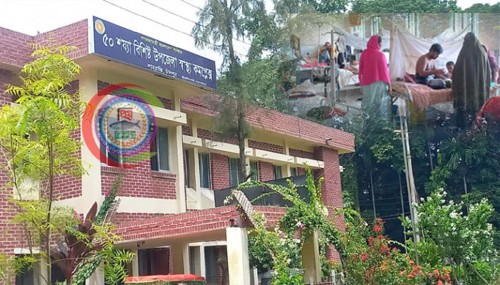 শাহরাস্তিতে ডেঙ্গু আক্রান্ত  ৮শ ৯৯ জন রোগী, কিট সংকট চরমে 