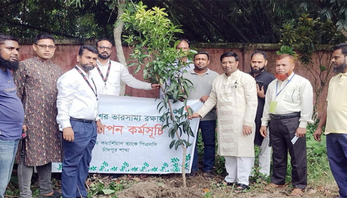 মতলব উত্তরে ইউসিবি ব্যাংকের উদ্যোগে গাছের চারা রোপণ