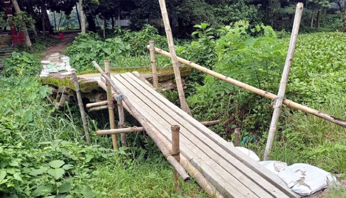 বাগবাড়ী-জীবগাঁও ব্রিজ যেন মরণ ফাঁদ!