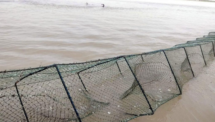 চায়না দুয়ারীতে ধ্বংস মেঘনা ও ধনাগোদা নদীর মৎস্যভান্ডার