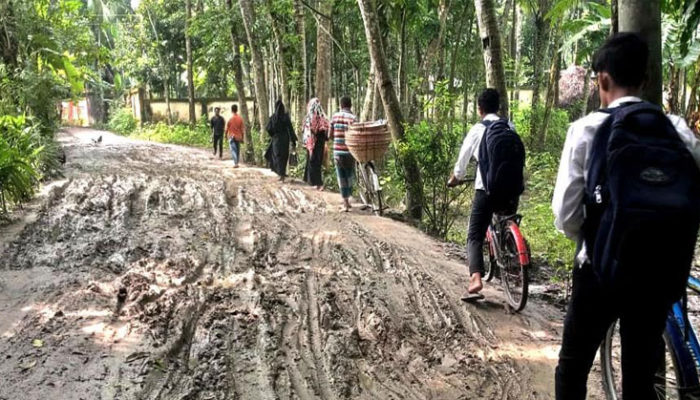 ফরিদগঞ্জে ৪ গ্রামে চলাচলের রাস্তার বেহাল দশা, দুর্ভোগে এলাকাবাসী