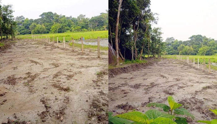 হাইকোর্টের আদেশ অমান্য করে মতলব উত্তরে মুক্তিযোদ্ধার জমি পুনঃবেদখল