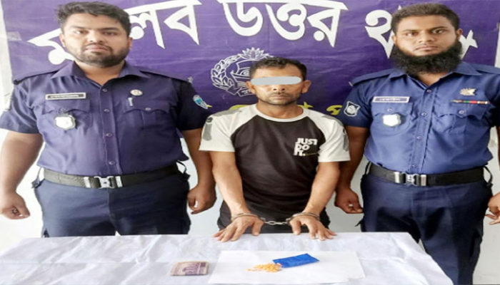 মতলব উত্তরে ১শ’ ইয়াবাসহ মাদক কারবারি গ্রেপ্তার
