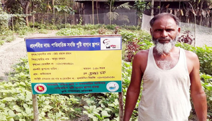 মতলব উত্তরে পারিবারিক পুষ্টি বাগানে লাভবান কৃষক