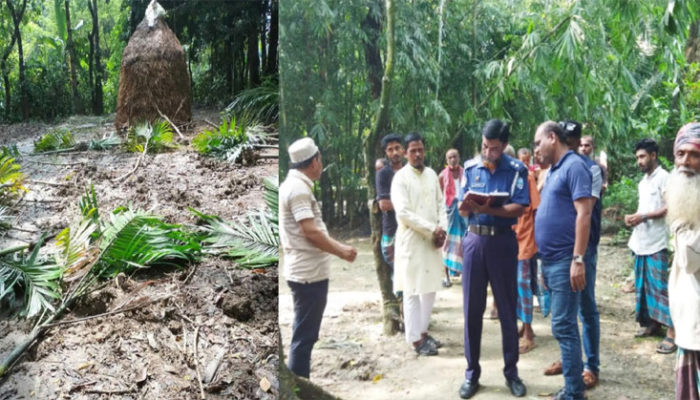 মতলবের উপাদী দক্ষিণে পৈত্রিক সম্পত্তি নিয়ে গাছের চারা কর্তন : থানায় অভিযোগ