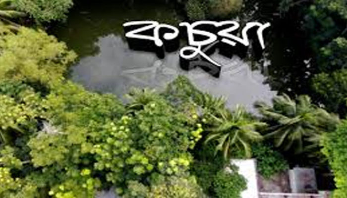 কচুয়ায় পানিতে ডুবে প্রতিবন্ধি শিশুর মৃত্যু
