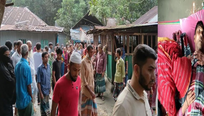 ফরিদগঞ্জে ডাল কাটতে গিয়ে হত্যা