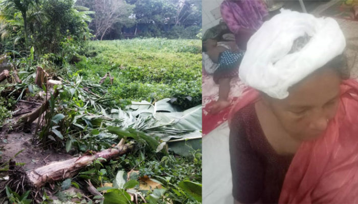 হাজীগঞ্জের রাজারগাঁও-এ সম্পত্তি নিয়ে গাছের চারা কর্তন করে মারধরের অভিযোগ