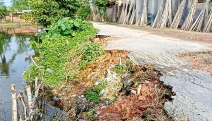 মতলব উত্তরে গ্রামীণ রাস্তা গিলে খাচ্ছে মাছ